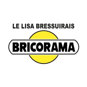 Logo Lisa Bressuirais